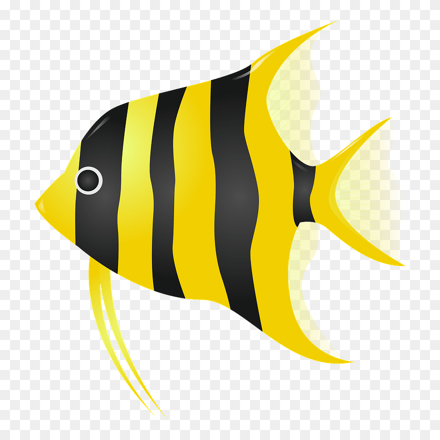 Angelfish Clipart - エンゼル フィッシュ イラスト フリー - Png Download