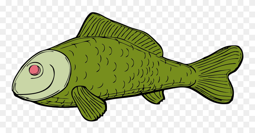 Transparent Lake Clipart - Dead Fish Clip Art - Png Download