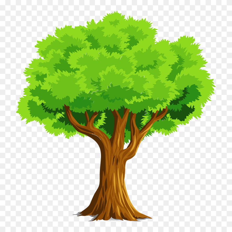 Picture - Tree Clipart - Png Download