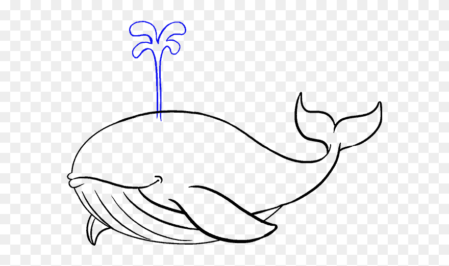 How To Draw Whale - Blue Whale Simple Drawing Clipart