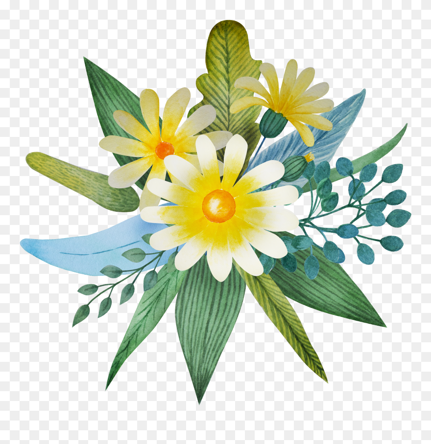 African Daisy Clipart