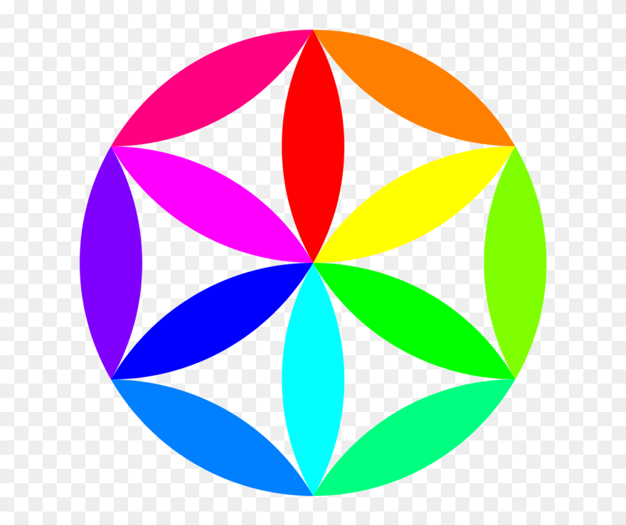 Petal,leaf,symmetry - Clip Art - Png Download