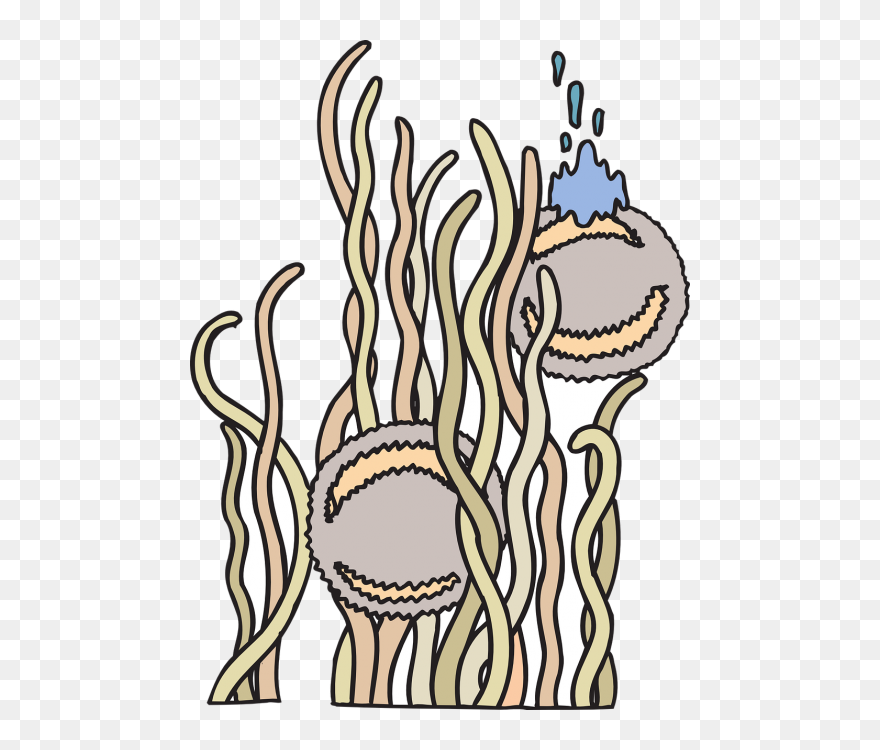 Floating Anemone Creatures Free Photo - Anemon Laut Png Clipart