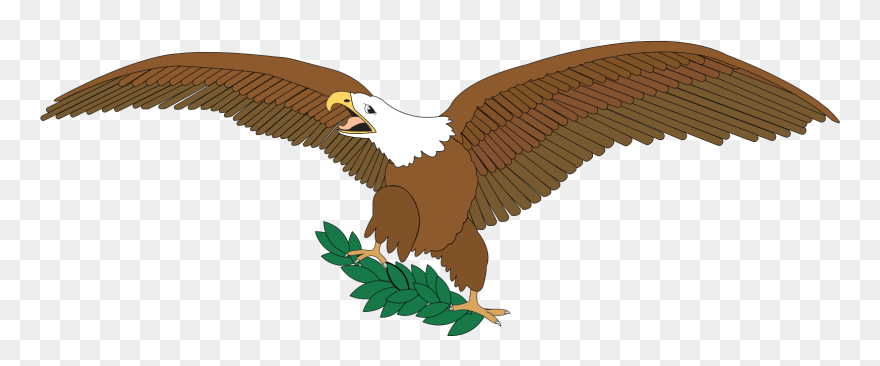 Bald Eagle On Branch Clipart - Eagle Spread Wings Png Transparent Png