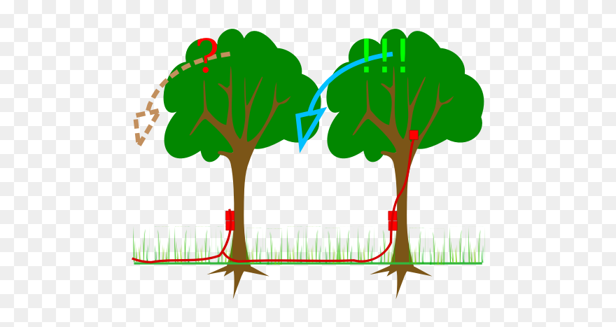 Kick Explosives Charge On Timber - Clip Art - Png Download