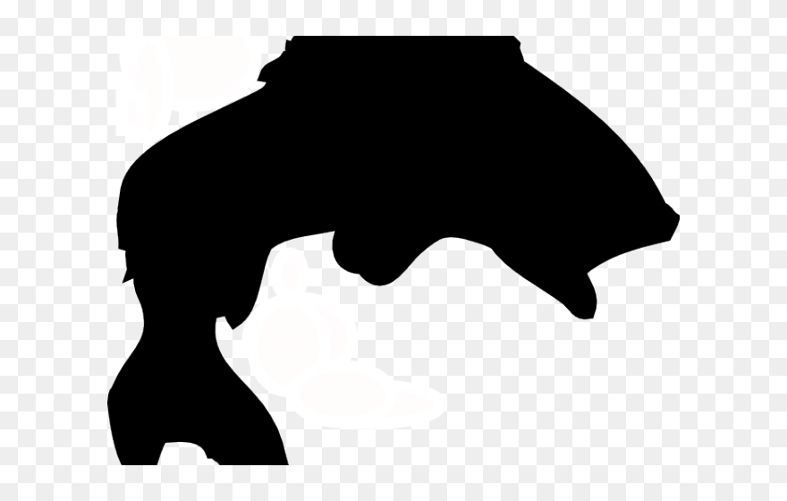 Transparent Koi Clipart - Bass Fish Clipart Silhouette - Png Download