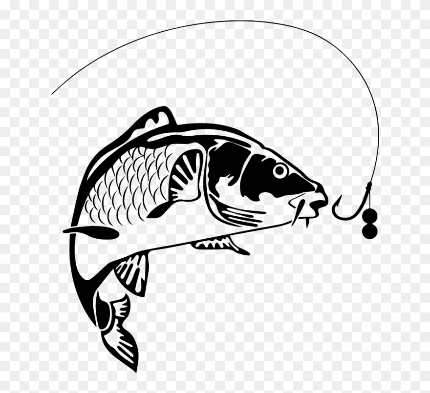Koi Carp Fishing - Carp Black And White Clipart
