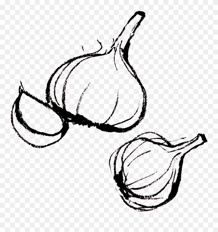 Transparent Garlic Clipart - Food Drawing Png
