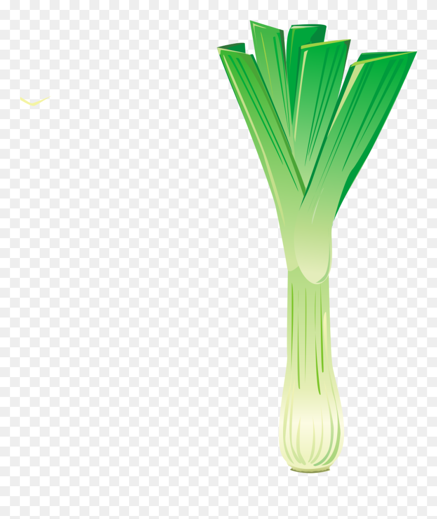 Leek Clipart