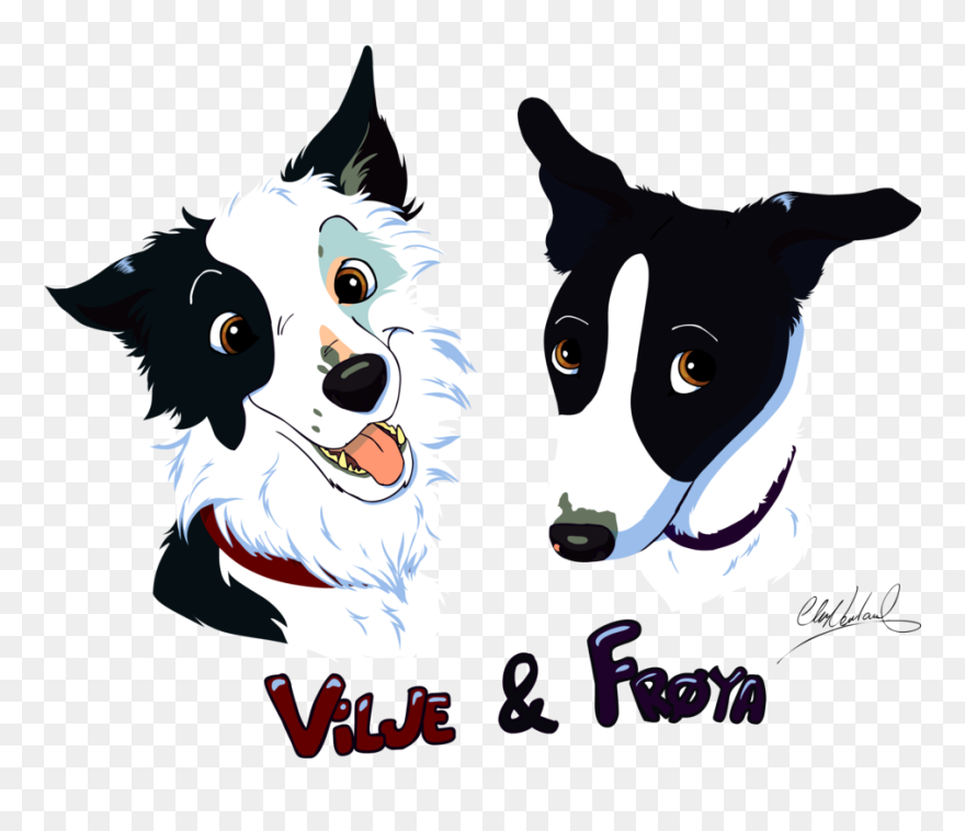 Border Collie Clipart