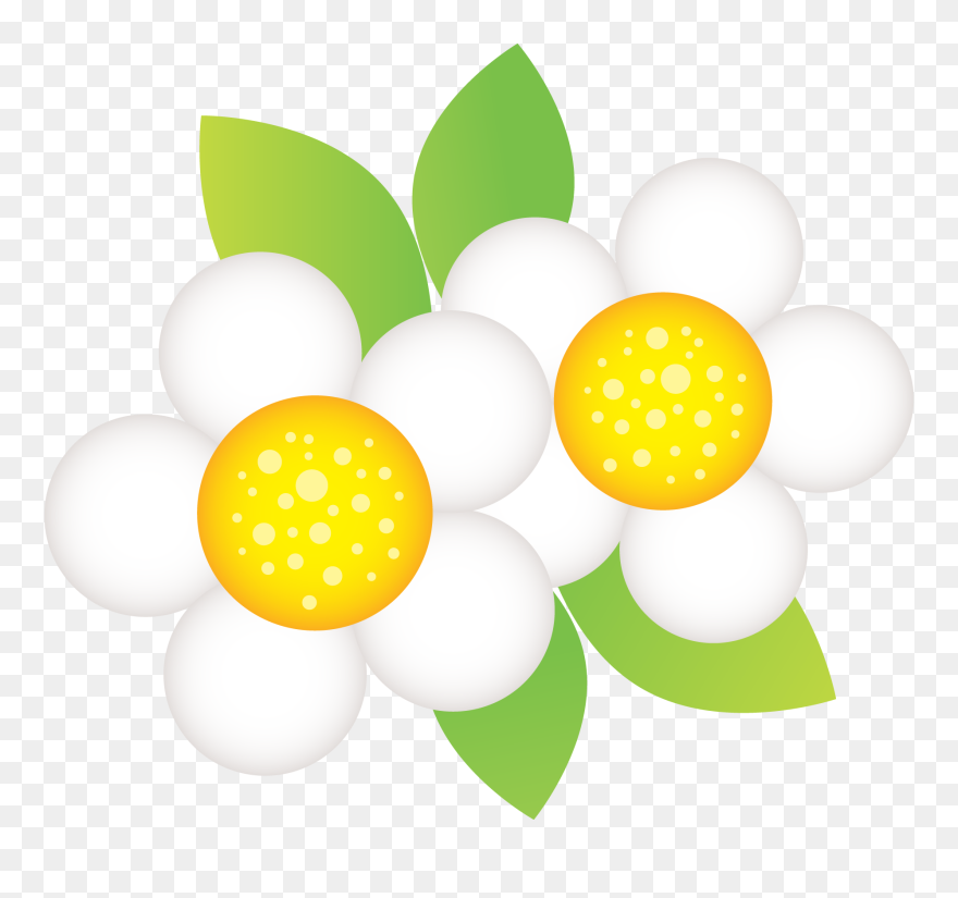 Flor Minus Png Clipart