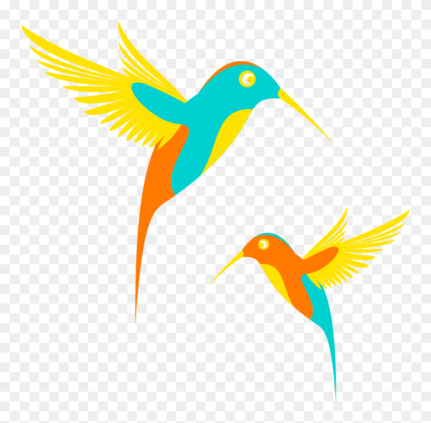 Colibri Birds - Colibrí Clipart - Png Download