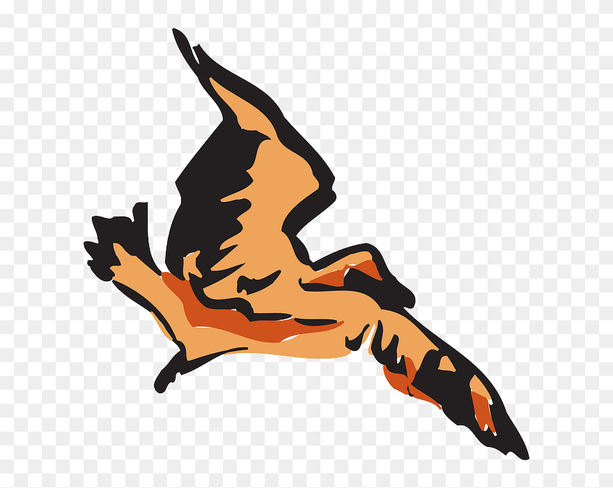 Brown, Bird, Flying, Wings, Art, Feathers, Fly - Clip Art - Png Download