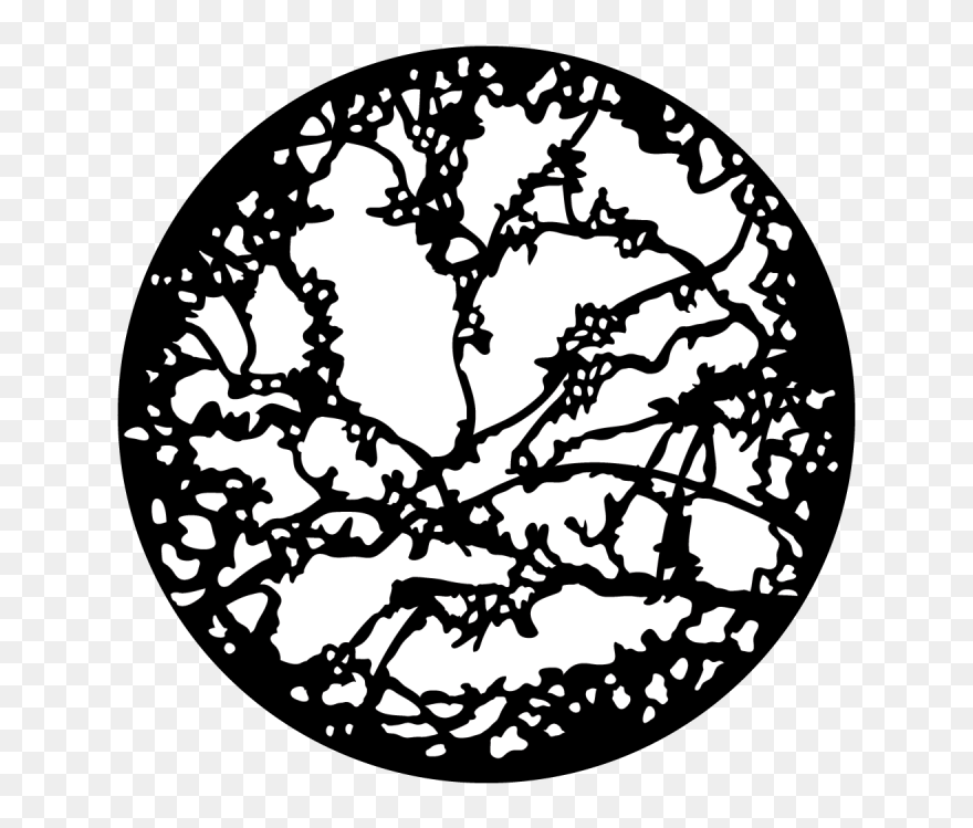 Open Apollo Design - Circle Clipart