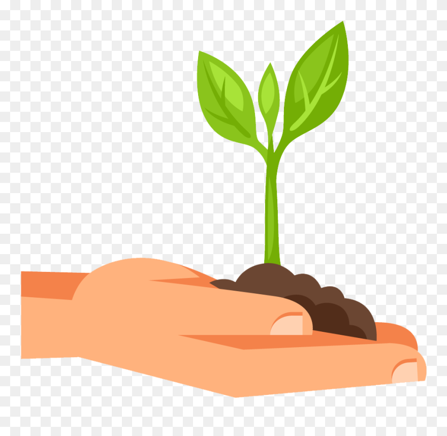 Plants Clipart