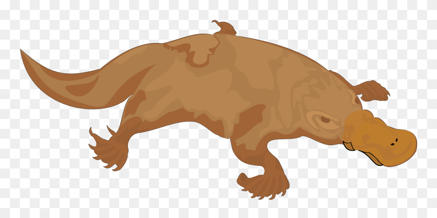 Perry The Platypus Brown Colour Clipart