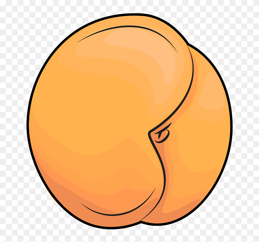 Apricot Clipart - Png Download