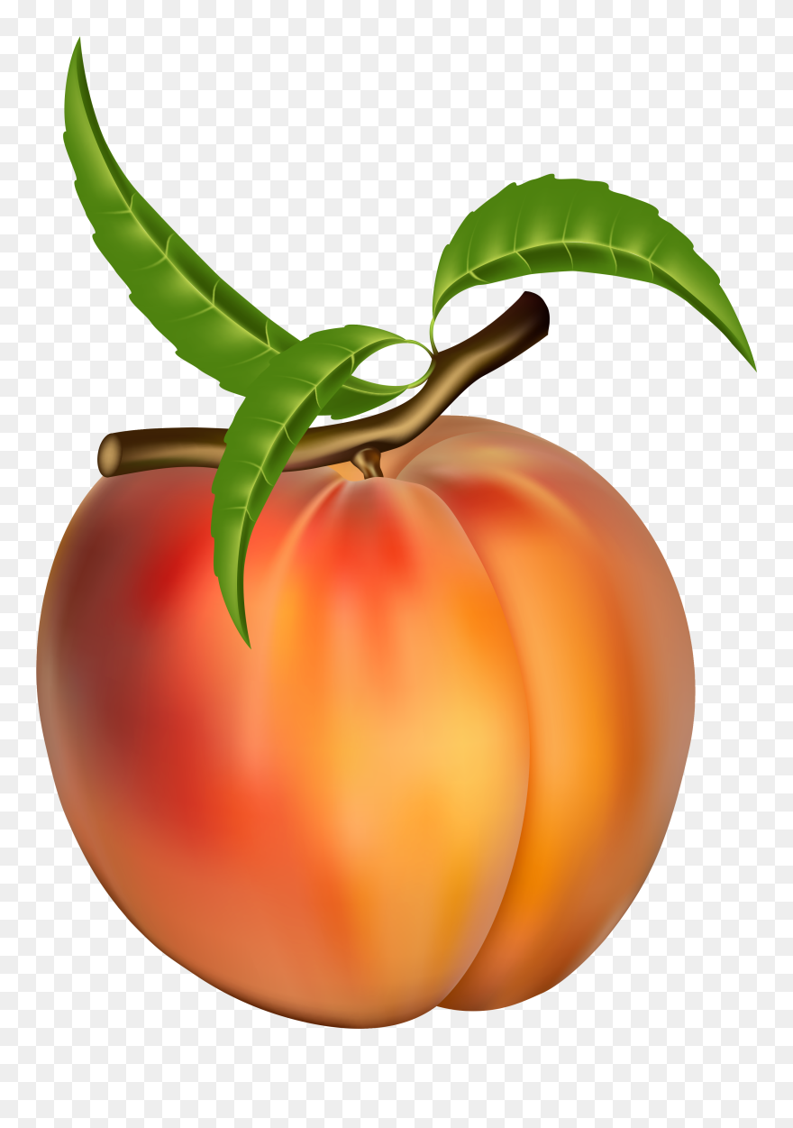 Peach Fruit Apricot Clip Art - Peach Fruit - Png Download