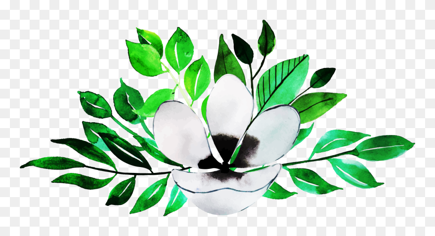 Magnolia Clipart
