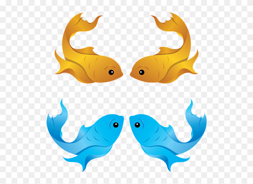 Clip Art - Png Download