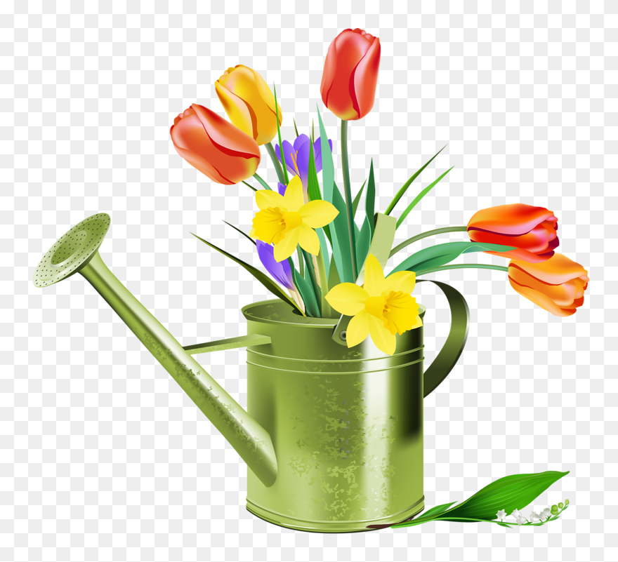 Clipart Tulips And Daffodils - Png Download