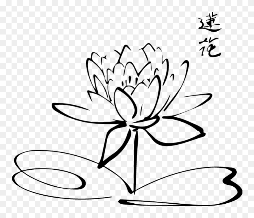Kd Drawing Flower - Lotus Flower Template Free Printable Clipart