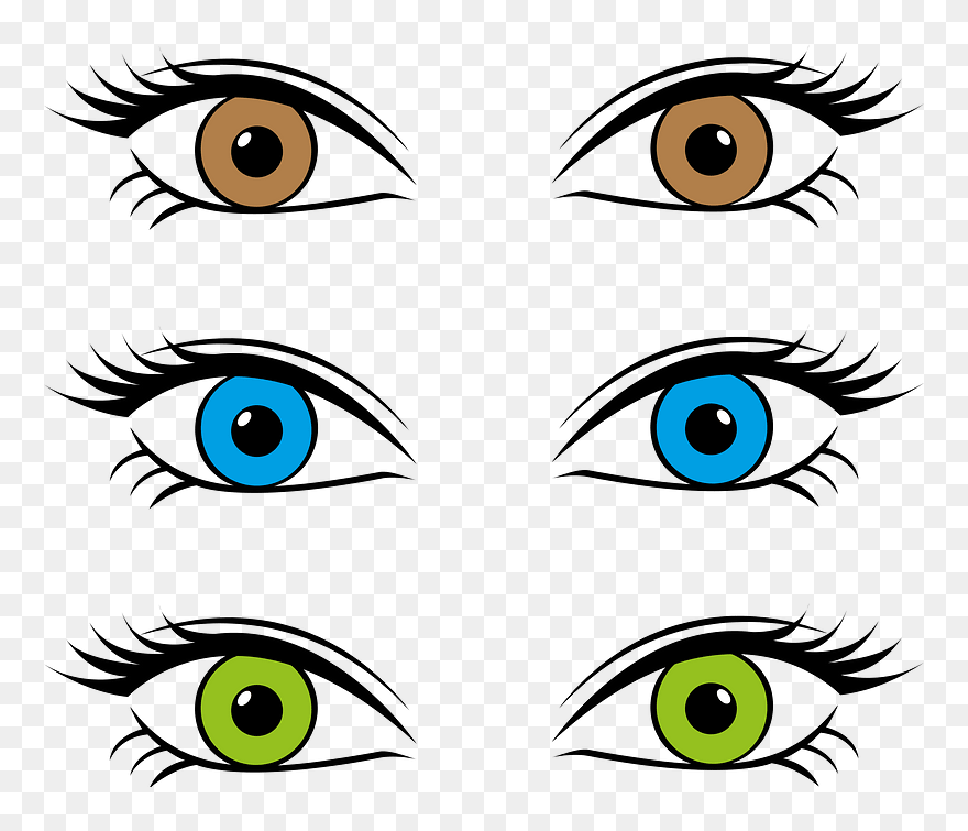 Eyes 1185176 Clipart - Eye Color Clipart - Png Download