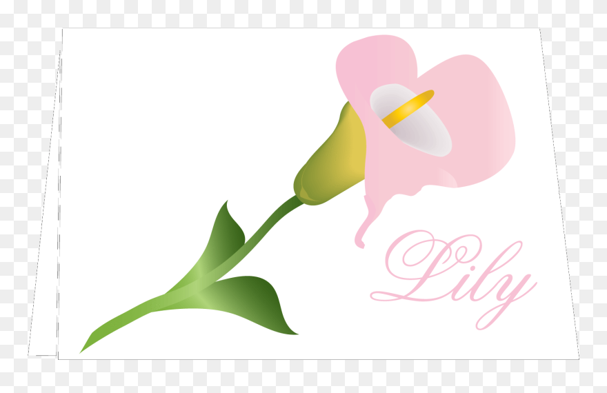 Floral Notes Calla Lily Clipart