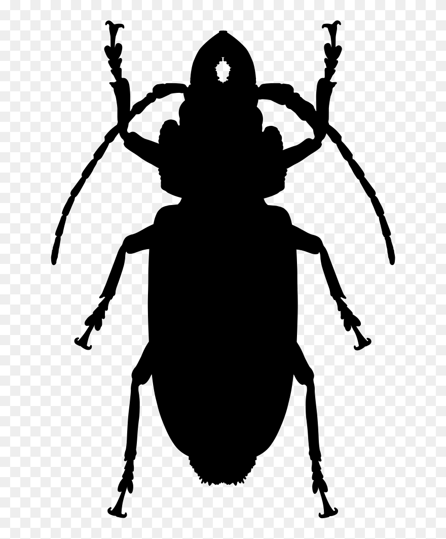 Cockroach Insect Computer Icons - Cockroach Clipart