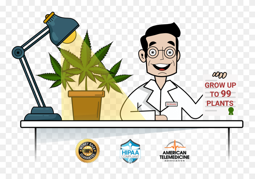 Medical Marijuana Card Online - Cartoon Clipart