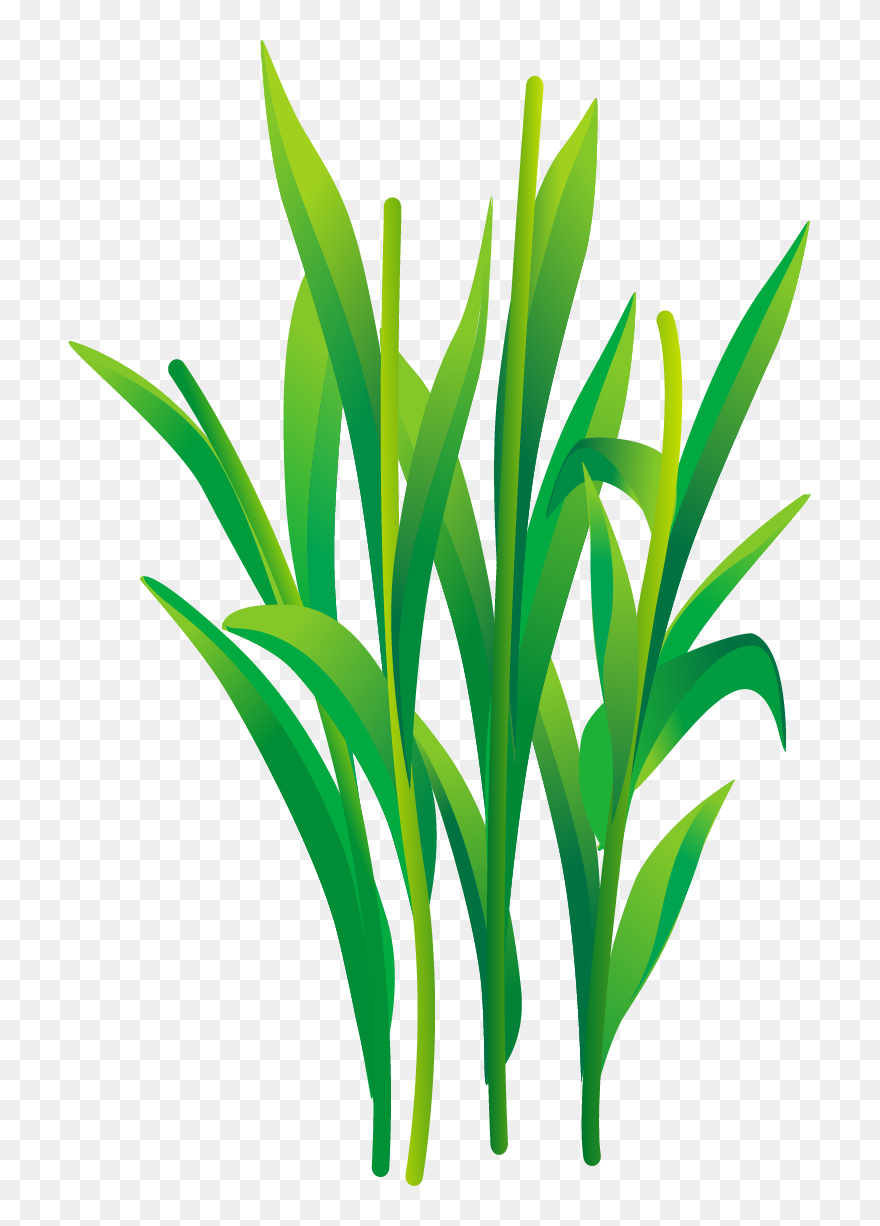 Vector Graphics Clipart