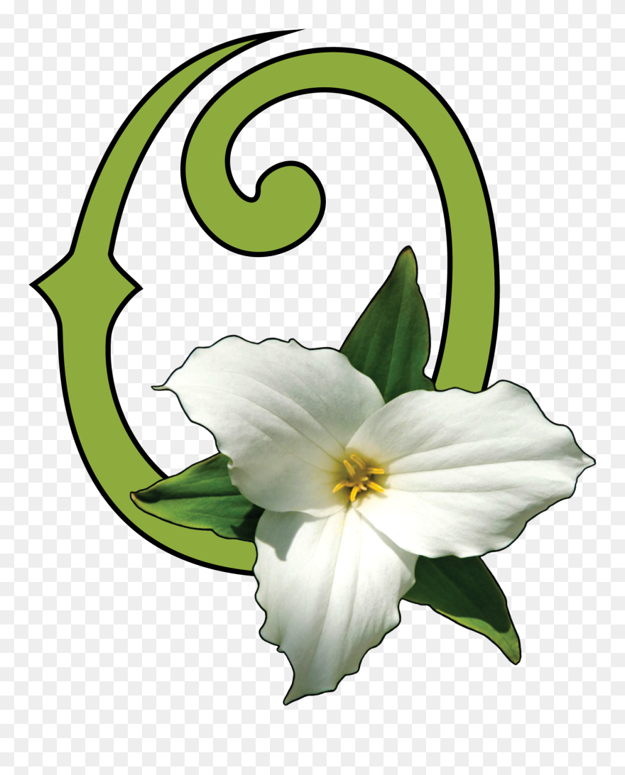 Ohio Native Plant Month April Clipart