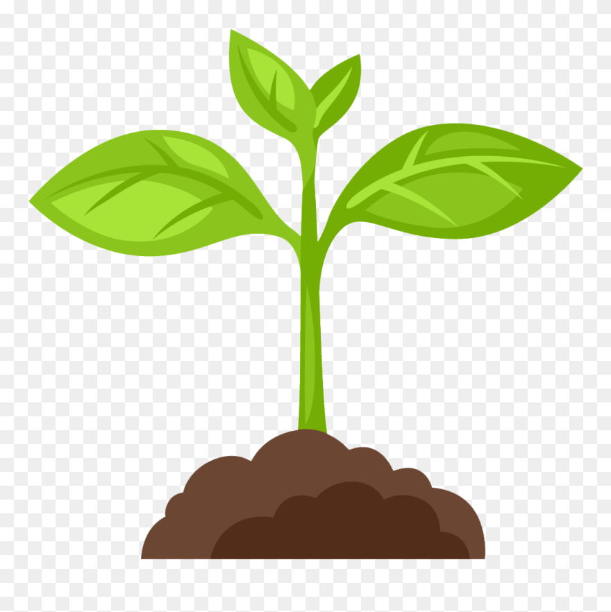 Download Plant Clipart - Png Download (#5642296) - PinClipart