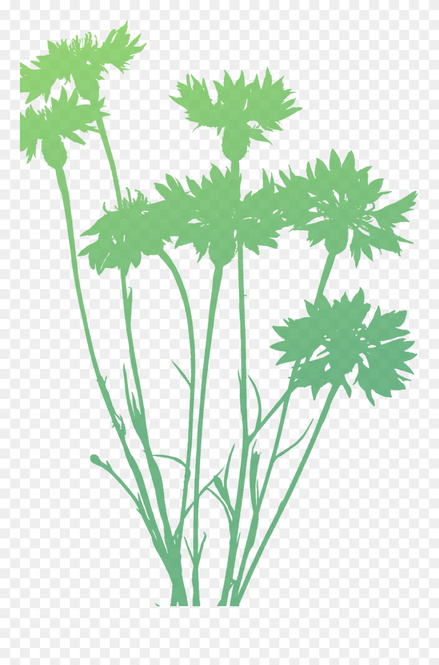Clip Art - Png Download