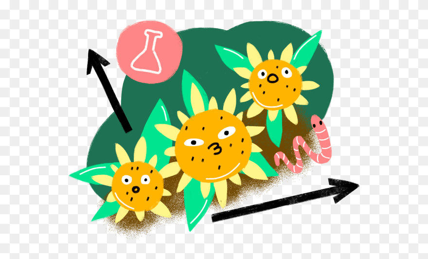Cartoon Clipart