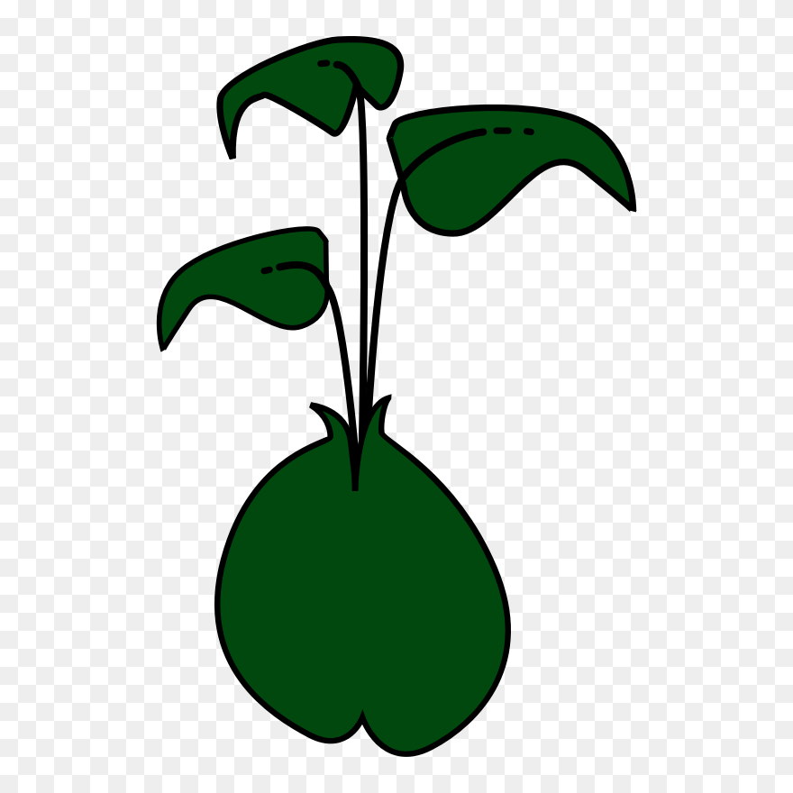 Bean Sprout Clipart - Png Download