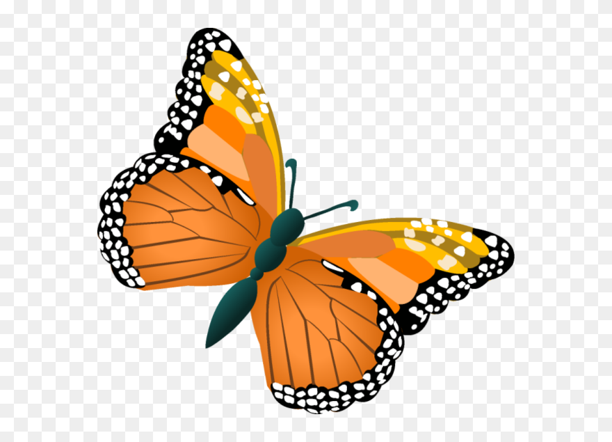 Butterflies Pinterest Origami - Mariposa Con Nombre Animado Clipart