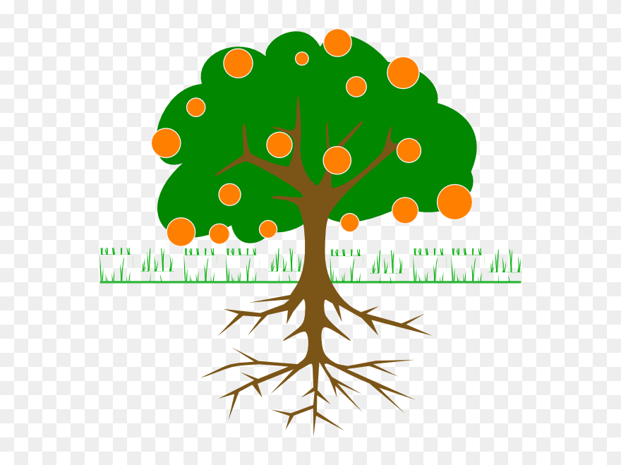 Lime Tree Clipart Transparent Library Citrus Tree Clip Apple Tree