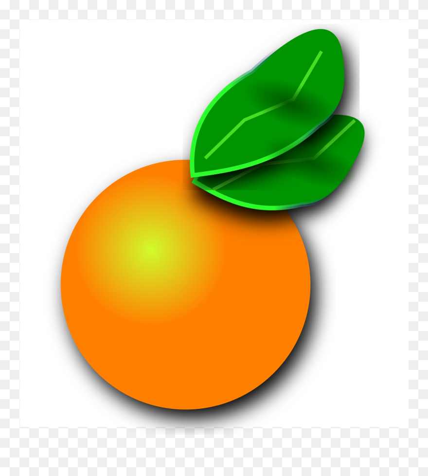Florida Orange Citrus - Florida Orange Clip Art - Png Download