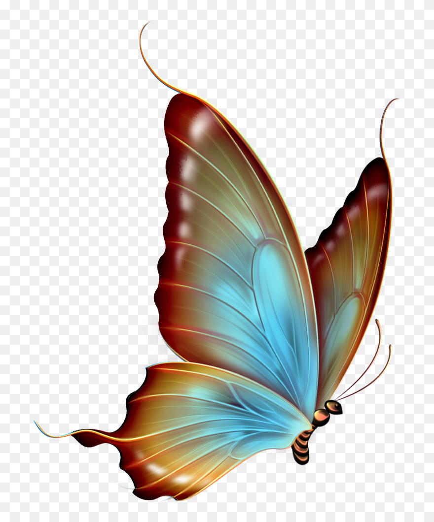 Butterfly Clipart Png Images - Transparent Background Butterfly Png