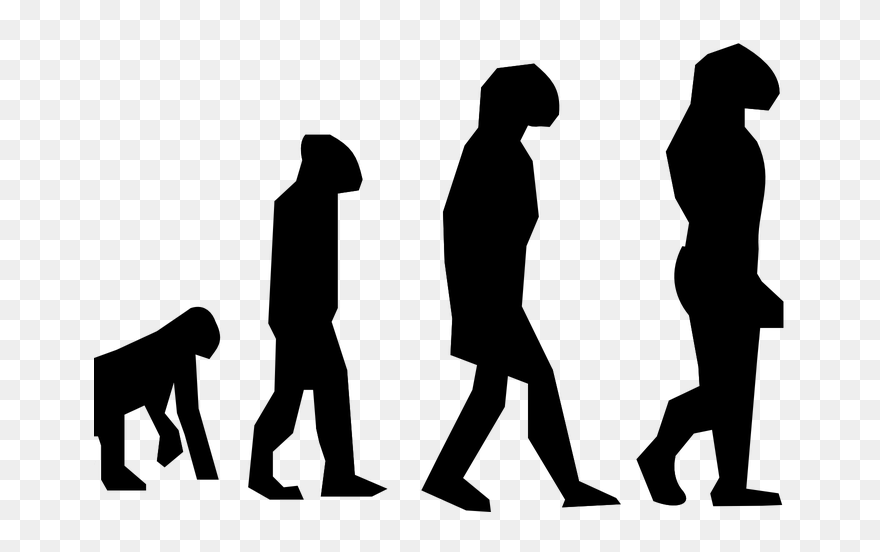 Aqa B6 Inheritance, Variation & Evolution Revision - Human Evolution Clipart