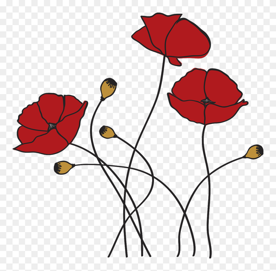 Poppy Spring Flower Flower Wall Decal - Amapola Dibujo Facil Clipart