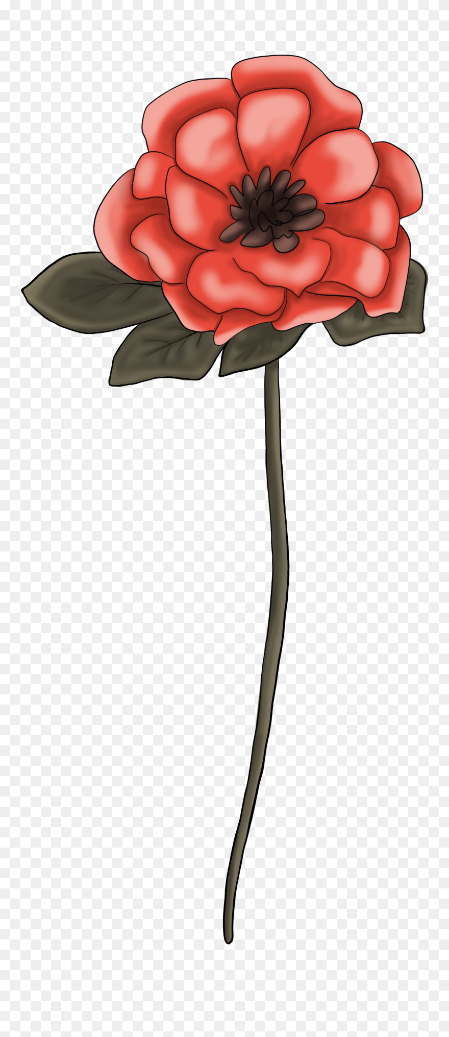 Japanese Camellia Clipart