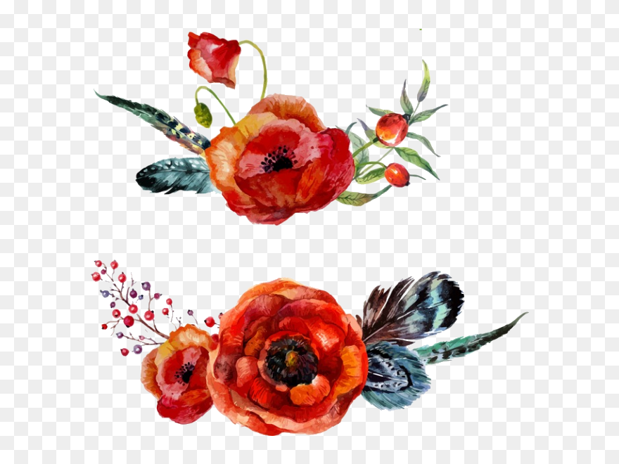 #freetoedit #poppyflower #poppy #poppies #flowers #stickerart - Red Watercolor Floral Png Clipart