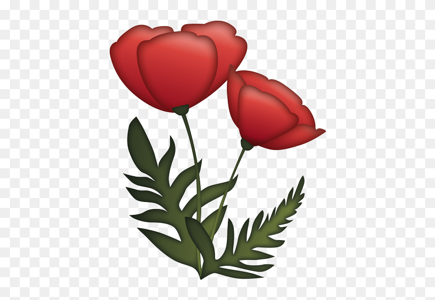 Tulip Clipart