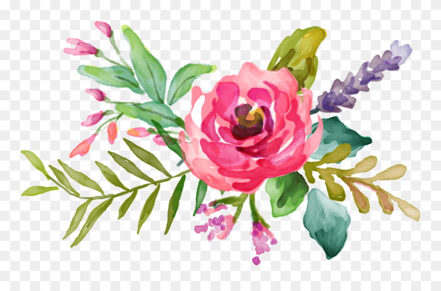 Water Color Clipart Flower Accent - Vector Pink Watercolor Flowers - Png Download