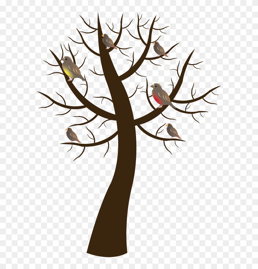 Twig Drawing Vector - Arbol Caucho De Seda Dibujo Clipart