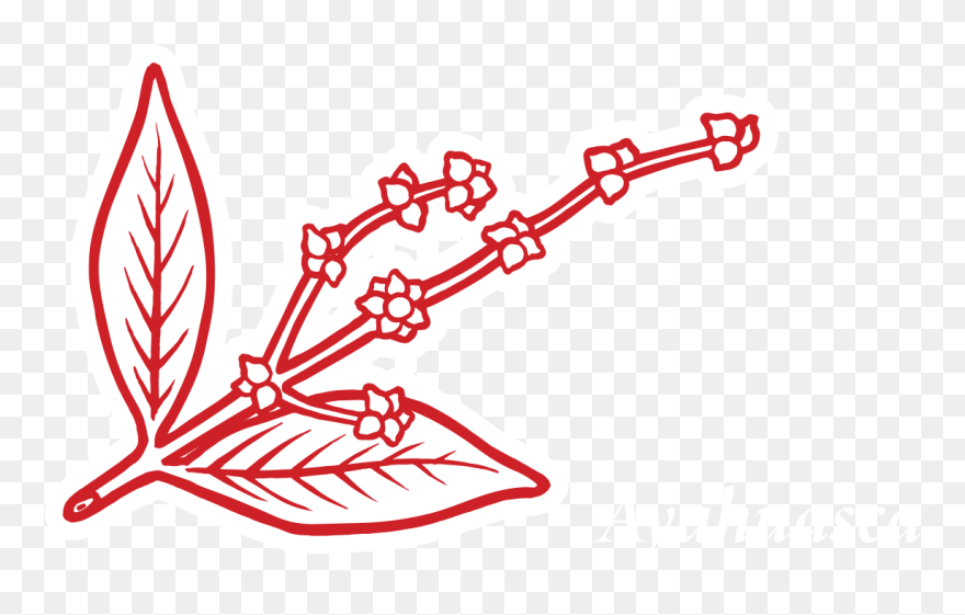 Clip Art - Png Download