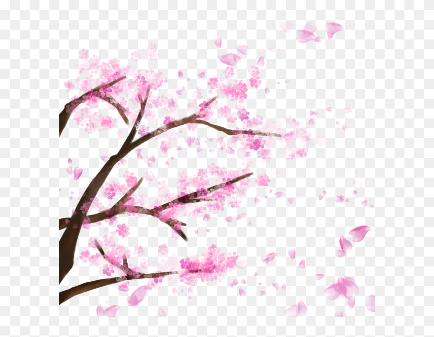 Blooming Cherry Tree, Cherry Blossom，sakura, Cherry, - Sakura Tree Png Clipart