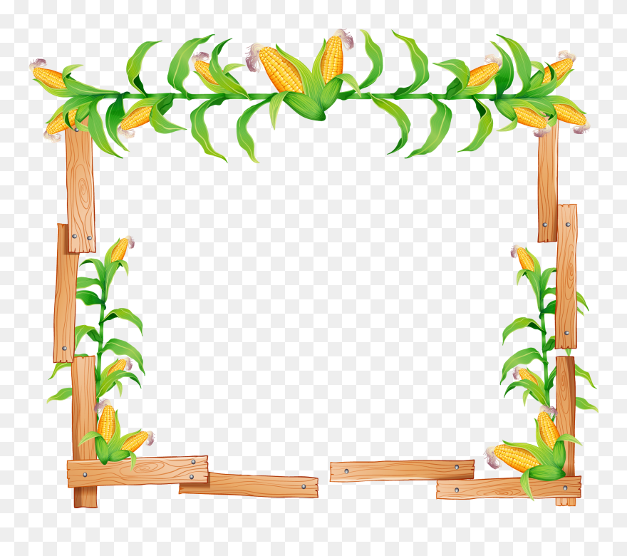 Candy Corn Maize Illustration - Corn Stalk Corn Border Clipart